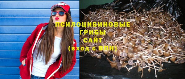 соль курить ск Аркадак